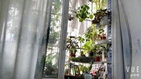 国产造景开箱视频大全