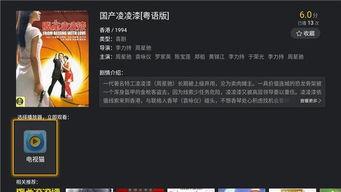 国产粤语视频,国产粤语视频的魅力之旅